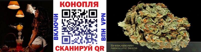 НБОМе Урюпинск