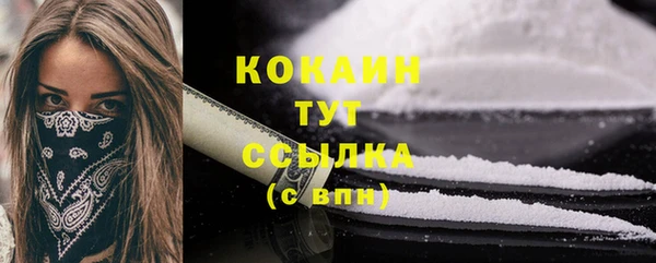 прущие грибы Богородск
