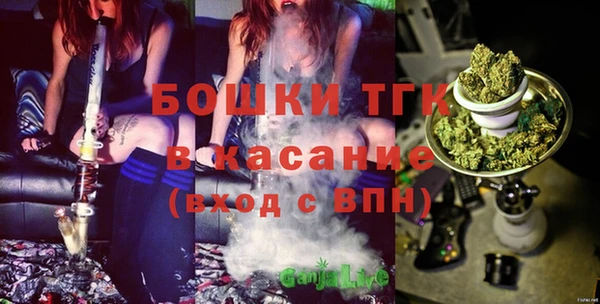 прущие грибы Богородск