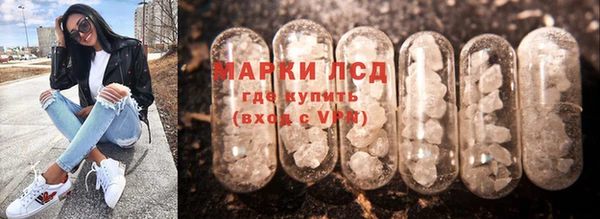 прущие грибы Богородск