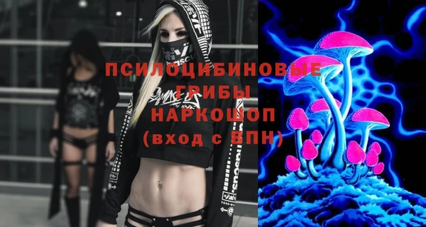первитин Богородицк