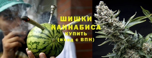 прущие грибы Богородск