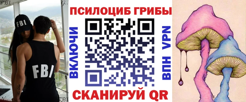 как найти Урюпинск Псилоцибиновые грибы мицелий