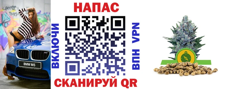 купить закладку  Урюпинск  Бошки Шишки сатива 